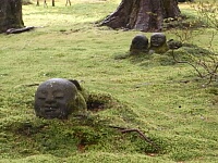 日記の画像