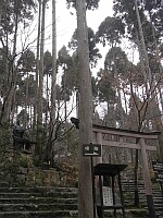 日記の画像
