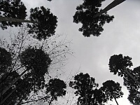 日記の画像