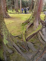 日記の画像