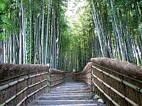 日記の画像