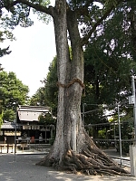 日記の画像