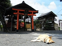 日記の画像