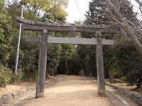 日記の画像