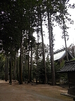 日記の画像