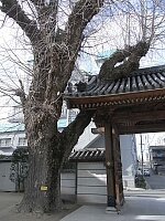 日記の画像