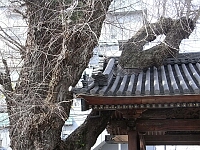日記の画像
