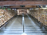 日記の画像