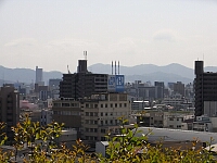 日記の画像