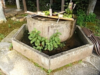 日記の画像