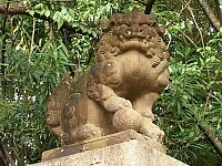 日記の画像