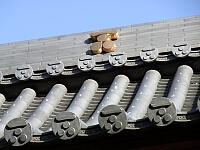 日記の画像
