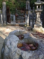 日記の画像