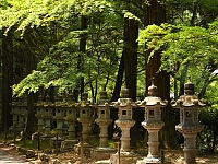 日記の画像