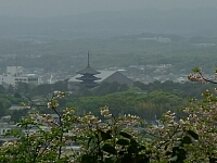 日記の画像