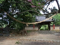 日記の画像
