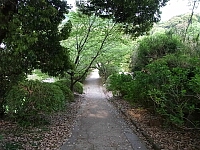 日記の画像