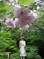 日記の画像