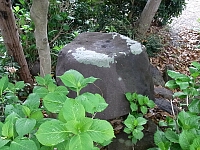 日記の画像