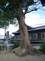 日記の画像