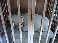 日記の画像