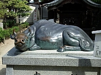 日記の画像