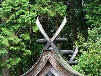日記の画像