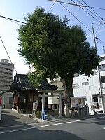 日記の画像