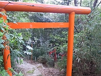 日記の画像