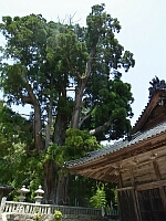 日記の画像