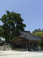 日記の画像