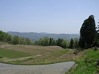 日記の画像