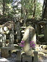 日記の画像