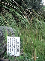 日記の画像