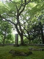 日記の画像