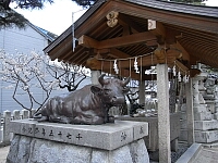 日記の画像