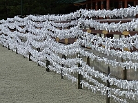 日記の画像