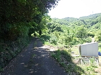 日記の画像
