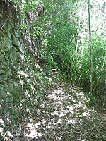 日記の画像