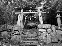 日記の画像
