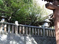 日記の画像
