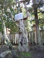 日記の画像