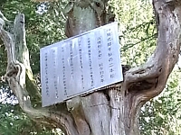 日記の画像