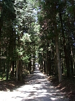 日記の画像