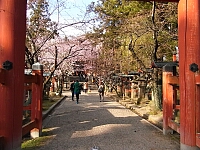 日記の画像