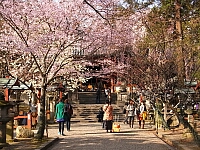 日記の画像