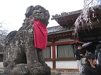 日記の画像