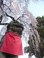日記の画像