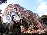 日記の画像