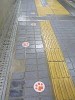 日記の画像